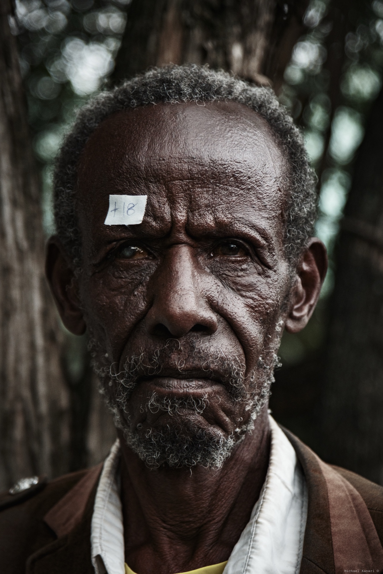 Portrait13